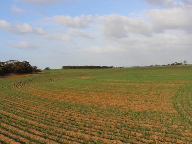 Acreage for sale in Marama, South Australia