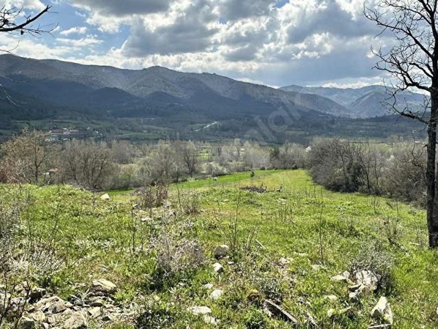 Orhaneli, Bursa içerisinde satılık mülk