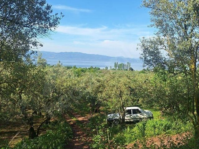 Orhangazi, Bursa içerisinde satılık mülk