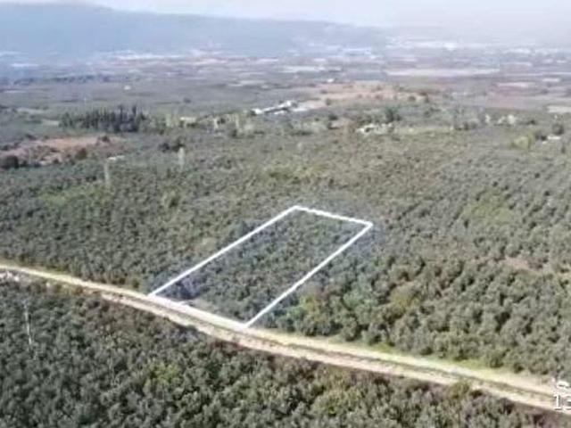 Orhangazi, Bursa içerisinde satılık mülk