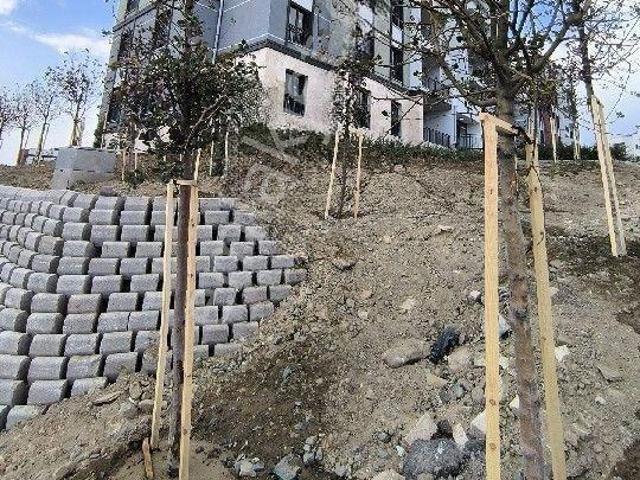 Çınarlı, Defne içerisinde kiralık mülk