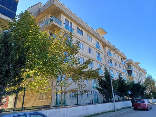 Tuzla, İstanbul içerisinde satılık mülk