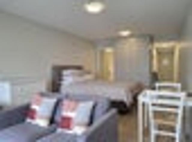 Apartment for rent in Oriental Bay, Wellington