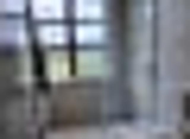 Apartment for rent in Oriental Bay, Wellington