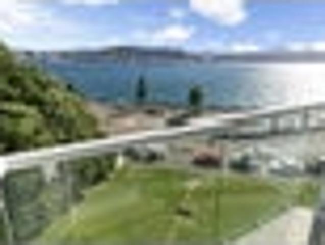 Apartment for rent in Oriental Bay, Wellington