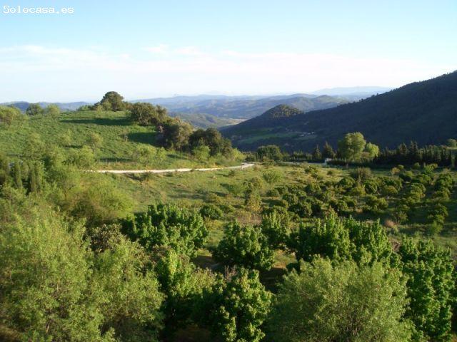 Casa en venta en Serranía de Ronda, Andalucía