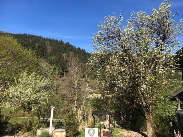 Haus mieten in Jochberg, Tirol