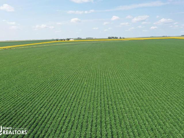 Farm for sale in Sanborn, Iowa