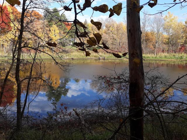 Land for sale in Todd, Minnesota