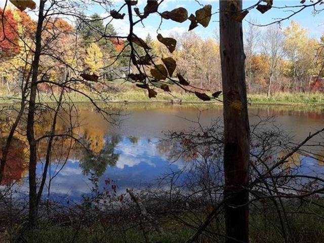 Land for sale in Todd, Minnesota