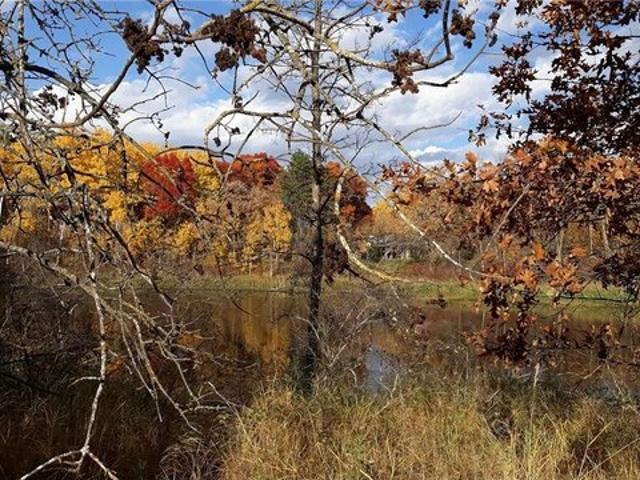 Land for sale in Todd, Minnesota