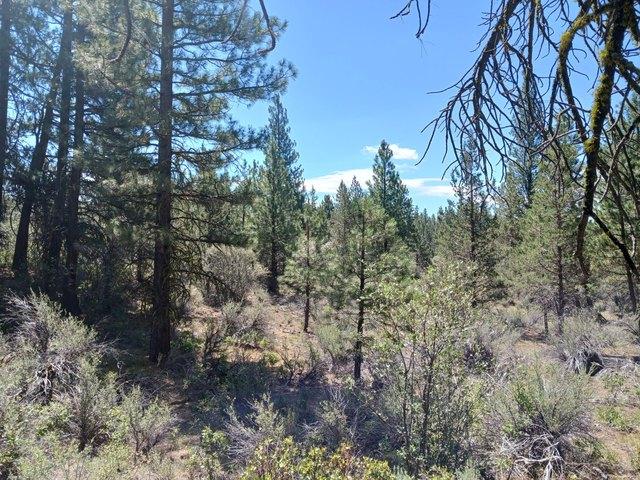 Land for sale in Oregonia
