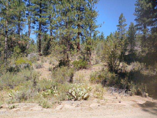 Land for sale in Bonanza, Klamath County