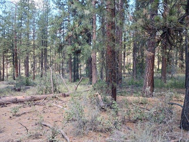 Land for sale in Oregonia