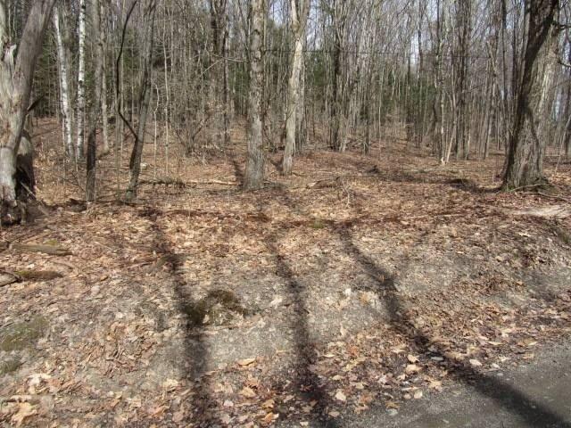 Land for sale in Cooperstown