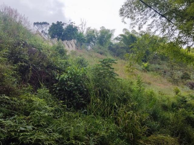 Terreno en venta en Boca De Uchire, Miranda