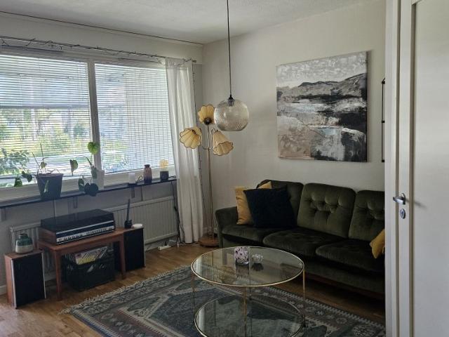 Lägenhet hyra i Skellefteå, Västerbotten