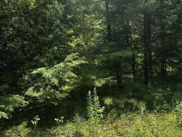 Land for sale in Orland, Maine
