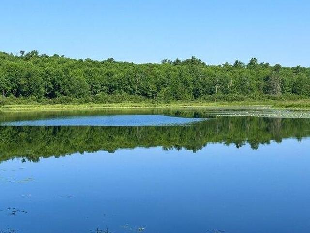Land for sale in Orland, Maine