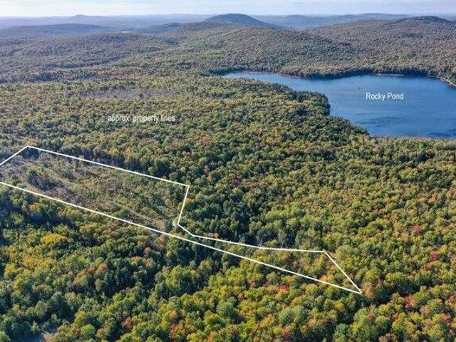 Land for sale in Orland, Maine