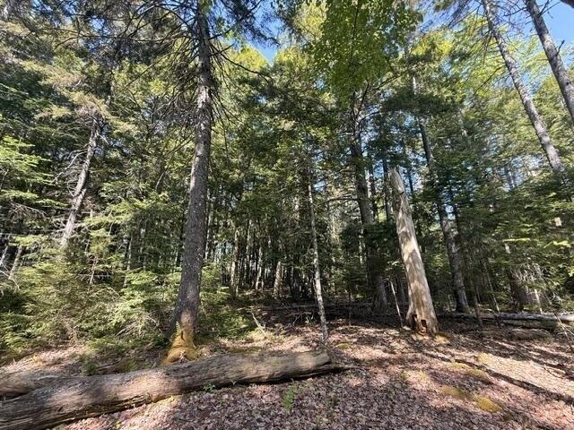 Land for sale in Orland, Maine
