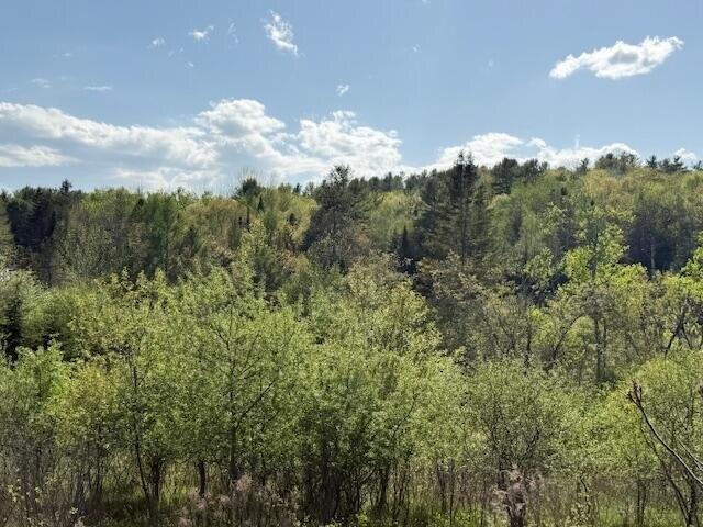 Land for sale in Orland, Maine