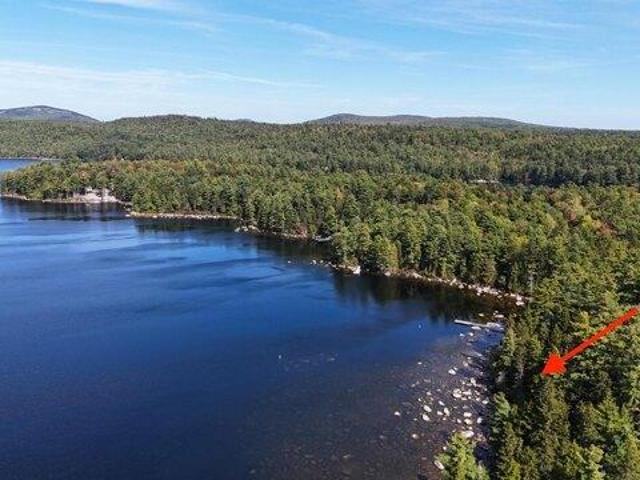 Land for sale in Orland, Hancock County