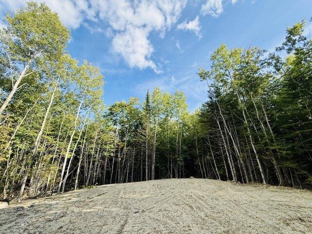 Land for sale in Winkumpaugh Corners, Orland