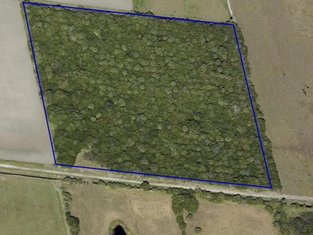 Land for sale in Florida