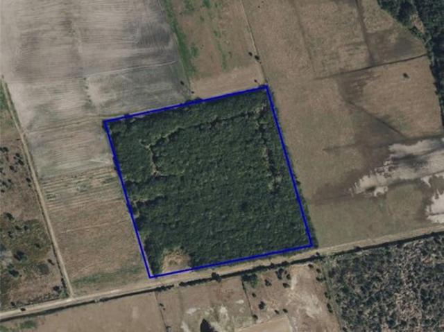 Land for sale in Florida