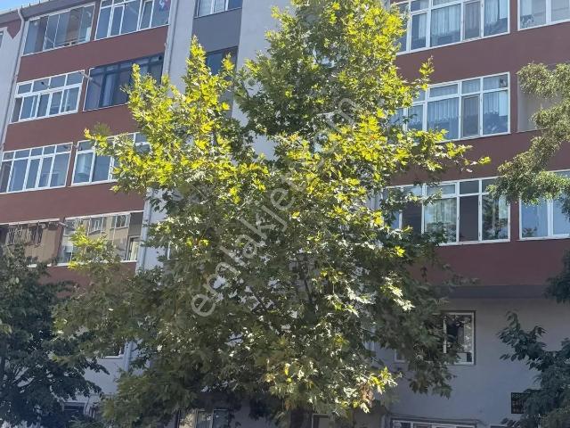 Muhittin Mahallesi, Çorlu içerisinde kiralık mülk