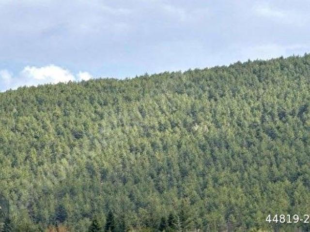 Çamlidere, Ankara içerisinde satılık Arsa