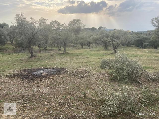 Torbali, İzmir içerisinde satılık mülk