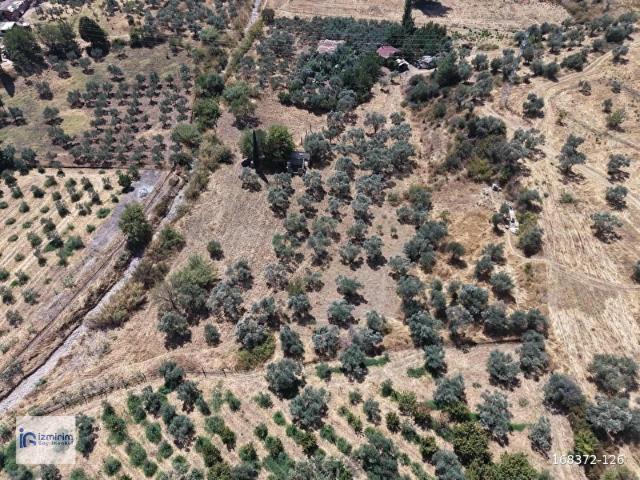 Kemalpaşa, İzmir içerisinde satılık mülk