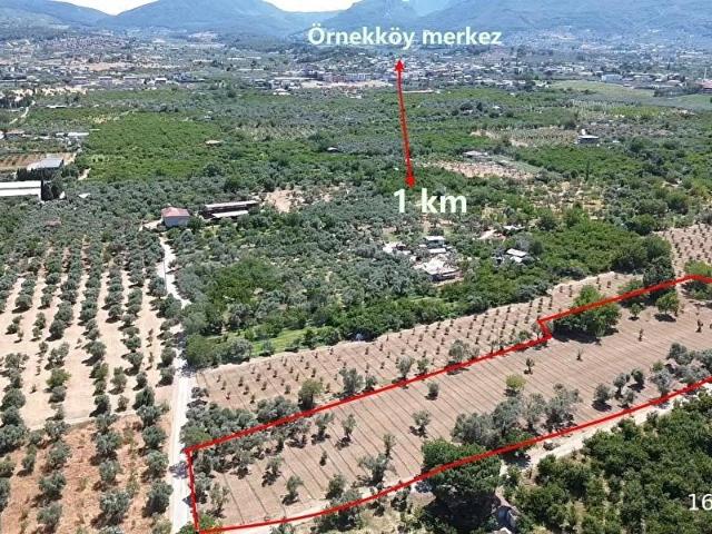 Örnekköy Mahallesi, Kemalpaşa içerisinde satılık mülk
