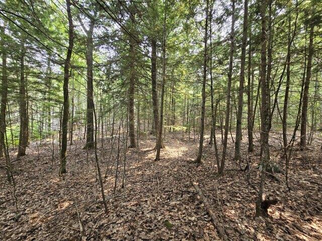 Land for sale in Orono, Maine