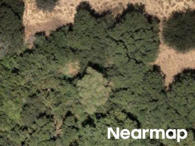 Land for sale in Butte, California