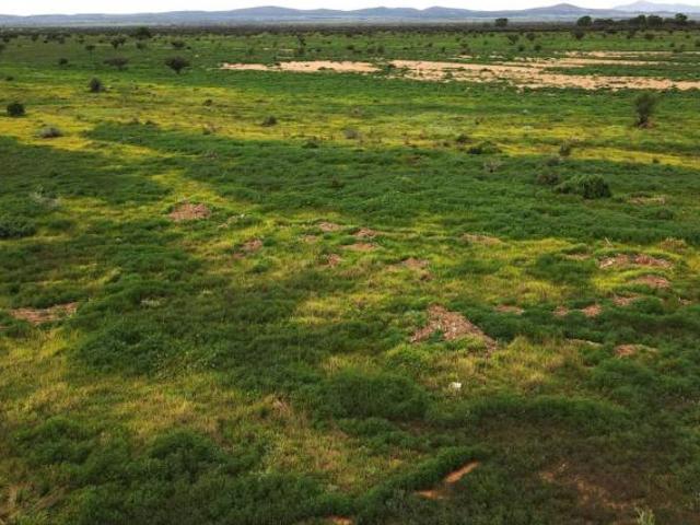 Land for sale in Orroroo, South Australia
