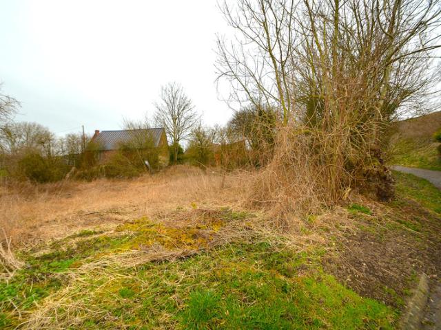 Terrain vente à Avesnes-sur-Helpe, Orsinval