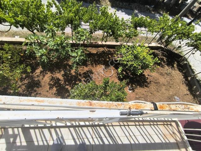 Ortaca, Muğla içerisinde kiralık mülk