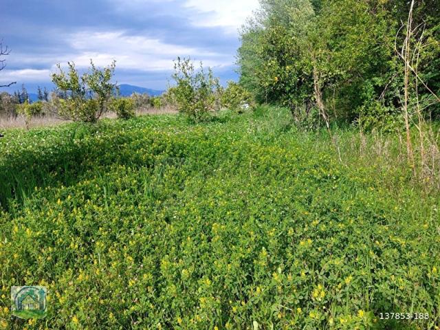Ortaca, Muğla içerisinde satılık Arsa