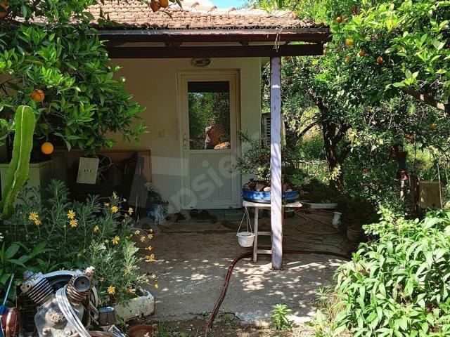 Dikmekavak, Ortaca içerisinde satılık Arsa