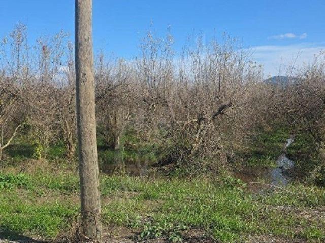 Ortaca, Muğla içerisinde satılık Arsa