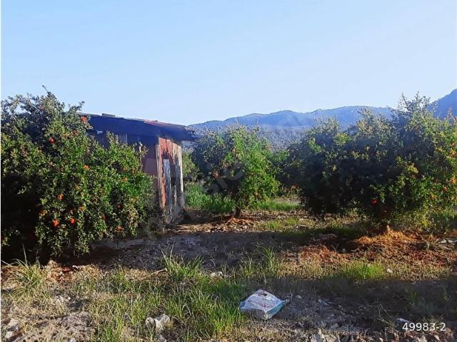 Ortaca, Muğla içerisinde satılık Arsa