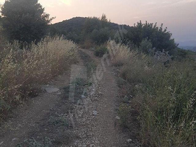Ortaca, Muğla içerisinde satılık Arsa