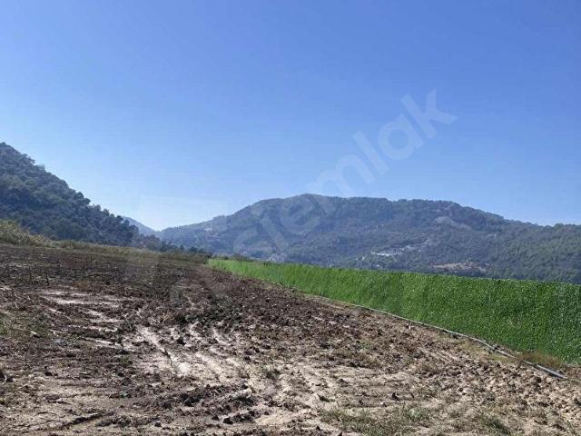 Ortaca, Muğla içerisinde satılık Arsa