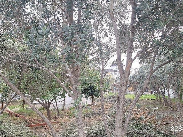 Ortaca, Muğla içerisinde satılık Arsa