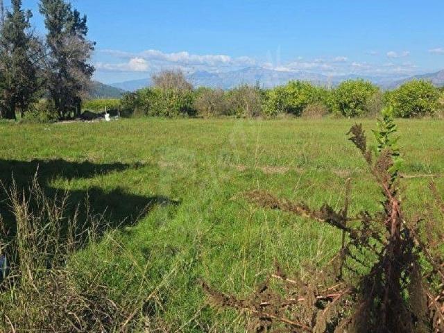 Ortaca, Muğla içerisinde satılık mülk