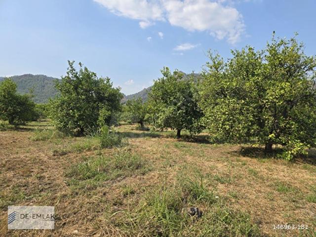Ortaca, Muğla içerisinde satılık Arsa
