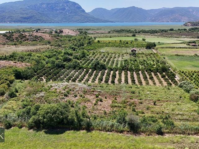 Ortaca, Muğla içerisinde satılık Arsa
